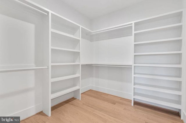 spacious closet featuring wood finished floors