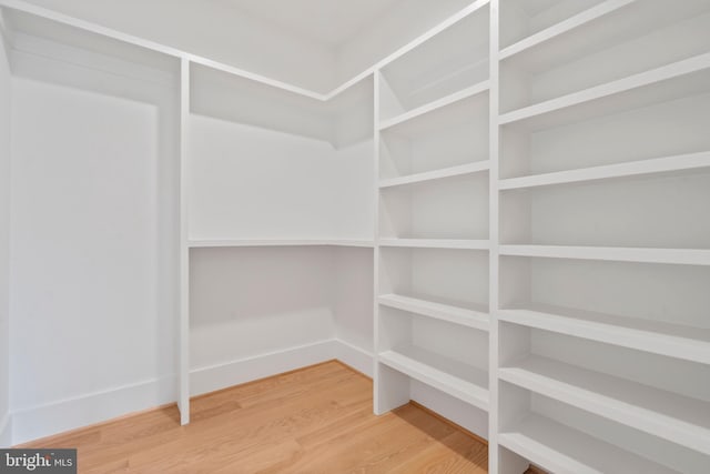 walk in closet with wood finished floors