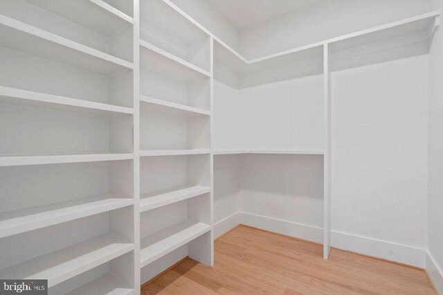 walk in closet featuring wood finished floors