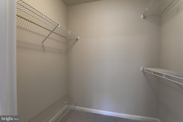 2 Rainflower Path Unit 102, Sparks Glencoe, MD 21152 - view of spacious closet