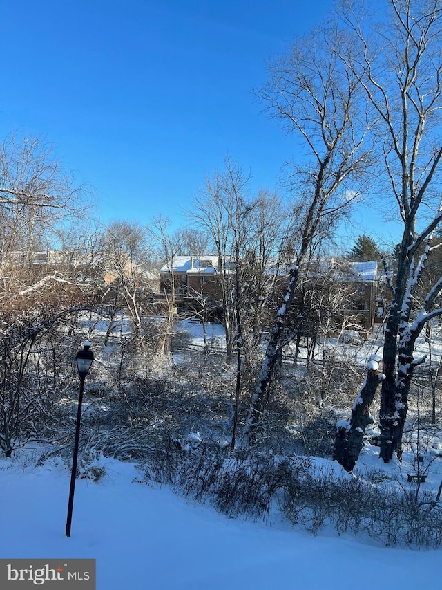 2 Rainflower Path Unit 102, Sparks Glencoe, MD 21152 - view of snow covered property