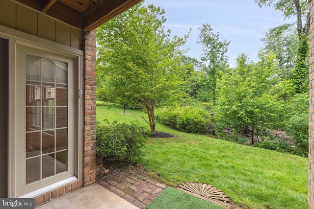 2 Rainflower Path Unit 102, Sparks Glencoe, MD 21152 - view of green lawn