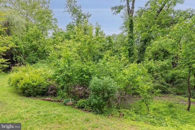 2 Rainflower Path Unit 102, Sparks Glencoe, MD 21152 - view of wooded area