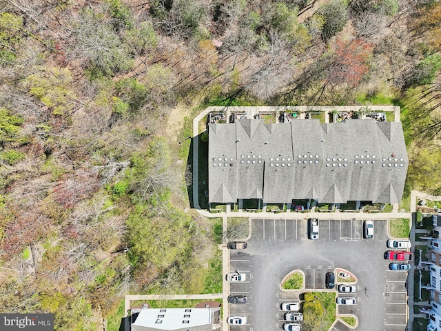 bird's eye view