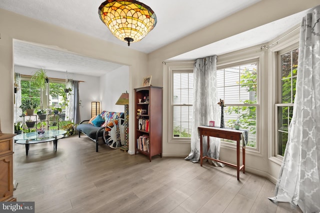 9525 Queens Guard Ct, Laurel, MD 20723 - sitting room featuring light wood-type flooring and baseboards