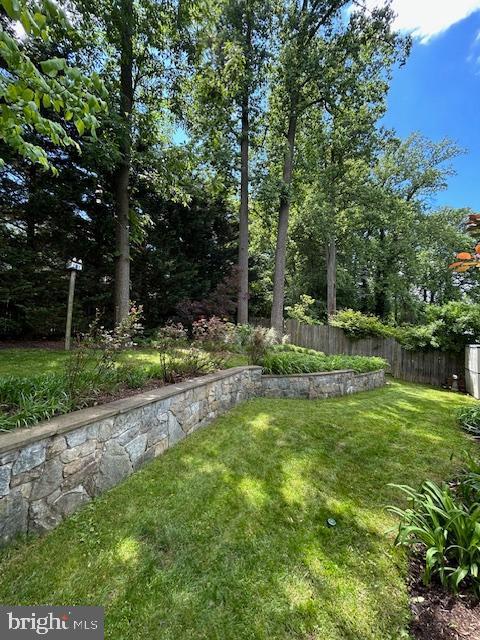 3004 Bluff Point Ln, Silver Spring, MD 20906 - view of yard