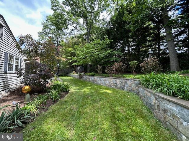 3004 Bluff Point Ln, Silver Spring, MD 20906 - view of green lawn