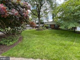 3004 Bluff Point Ln, Silver Spring, MD 20906 - view of grassy yard