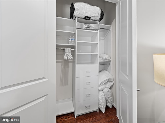 spacious closet featuring dark wood-style flooring