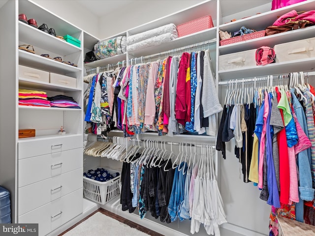 view of walk in closet
