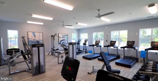 workout area featuring a ceiling fan and light colored carpet