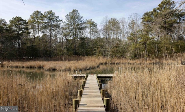 view of dock featuring a water view