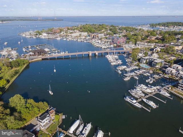 301 Burnside St Unit B 302, Annapolis, MD 21403 - aerial view with a water view