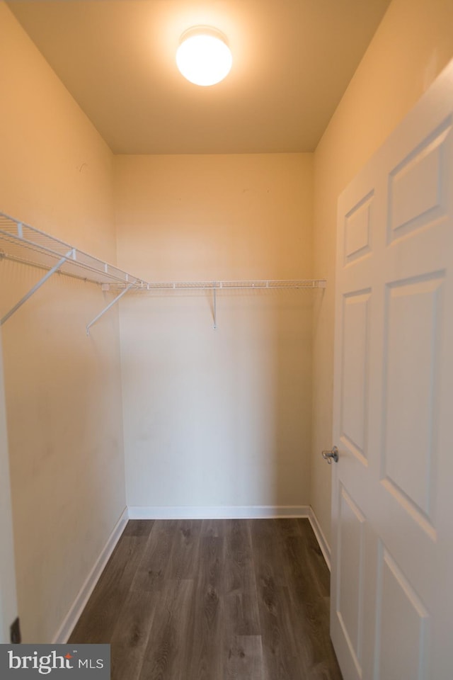 1144 Halifax Pl, Hamilton, NJ 08619 - walk in closet featuring dark wood finished floors