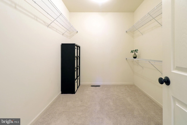 311 Treetops Dr, State College, PA 16801 - walk in closet with carpet flooring