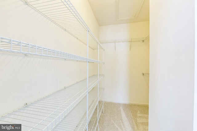 walk in closet with carpet