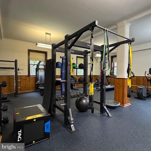 2853 Ontario Rd NW Unit 609, Washington, DC 20009 - exercise room with wainscoting, crown molding, wood walls, and plenty of natural light