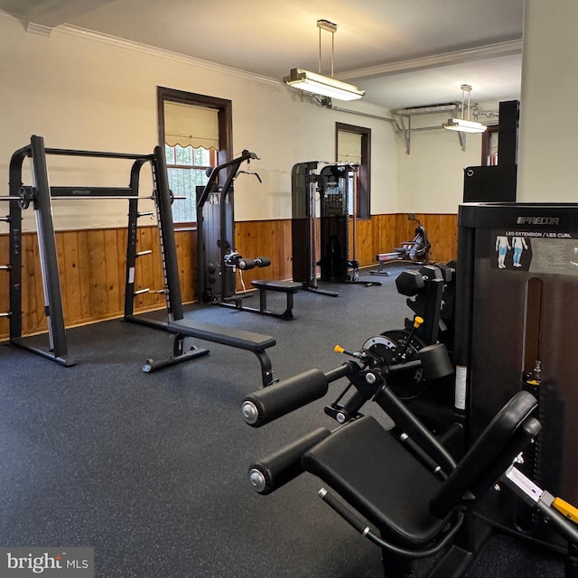 2853 Ontario Rd NW Unit 609, Washington, DC 20009 - gym featuring wainscoting, wooden walls, and ornamental molding