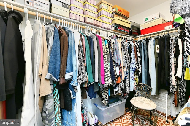 view of spacious closet