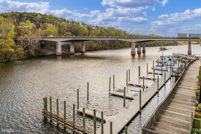 dock area featuring a water view