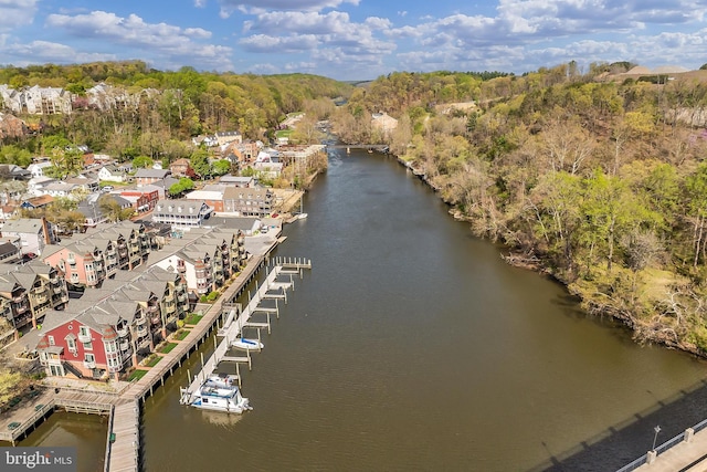 aerial view with a water view and a view of trees
