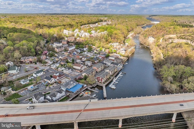 bird's eye view with a water view and a view of trees