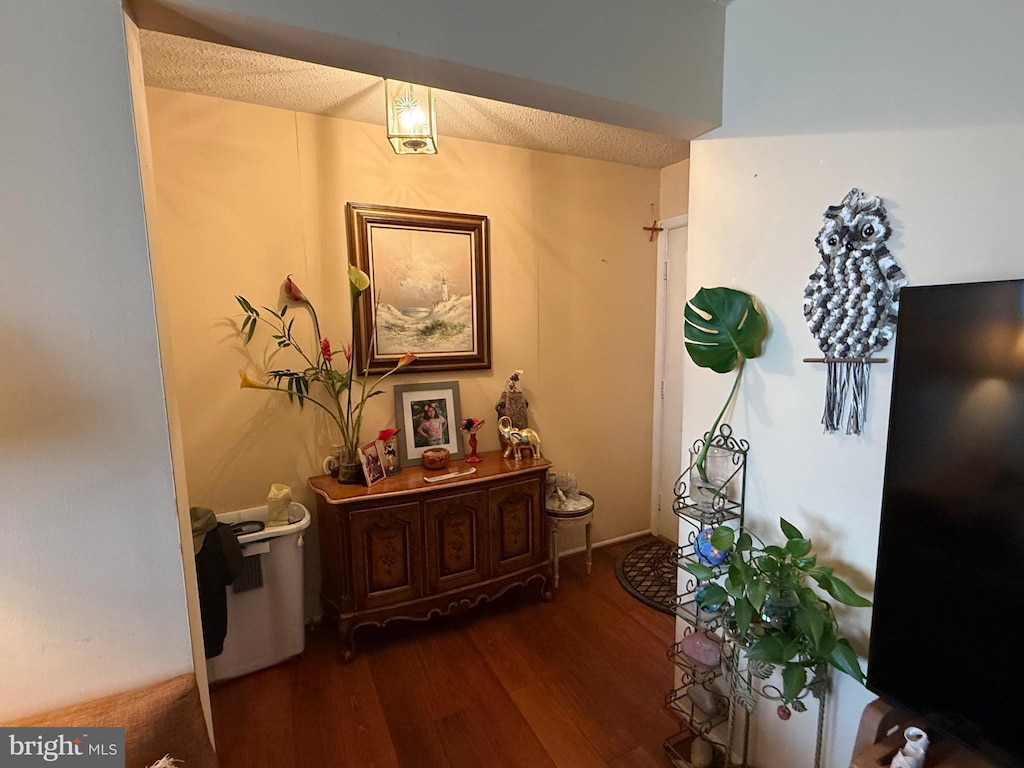 114 Fort Evans Rd SE Unit A, Leesburg, VA 20175 - corridor featuring a textured ceiling and dark wood-style flooring
