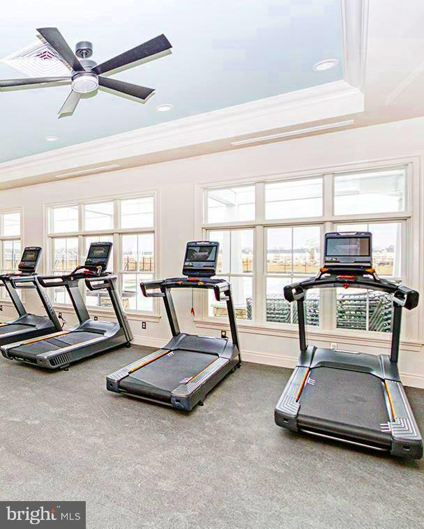 35262 Wright Way, Millsboro, DE 19966 - gym featuring ornamental molding, baseboards, recessed lighting, and ceiling fan