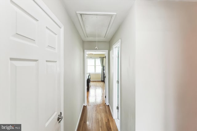 3814 Woodlawn Ct, Alexandria, VA 22304 - hall featuring baseboards, attic access, and hardwood / wood-style flooring