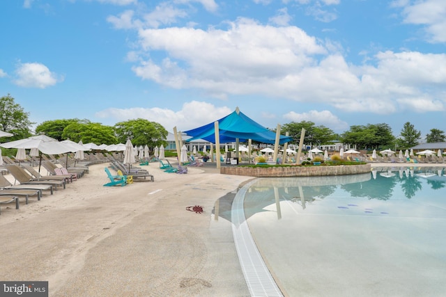 view of swimming pool