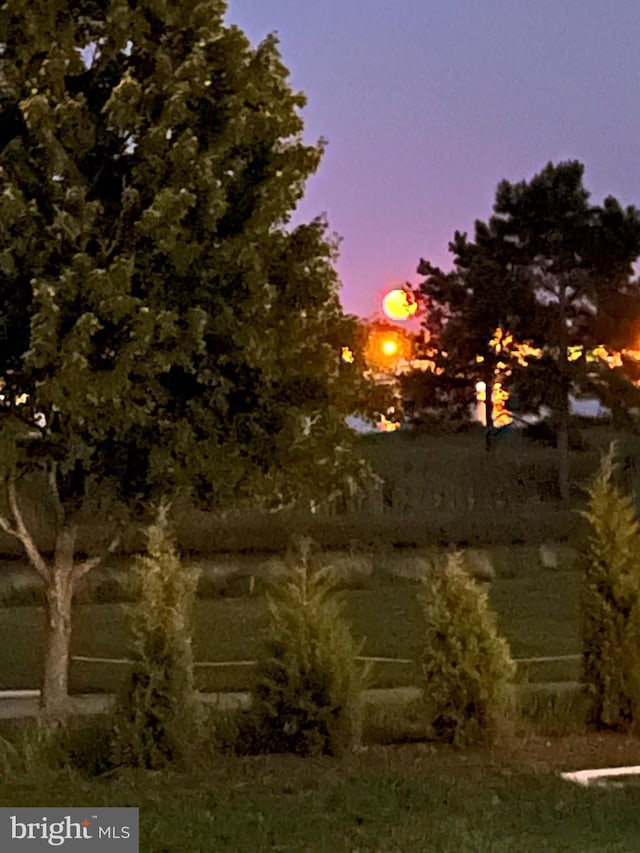 view of nature