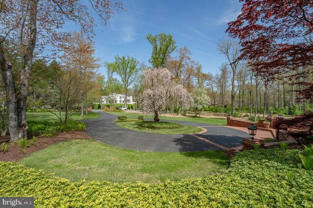 view of community featuring a yard