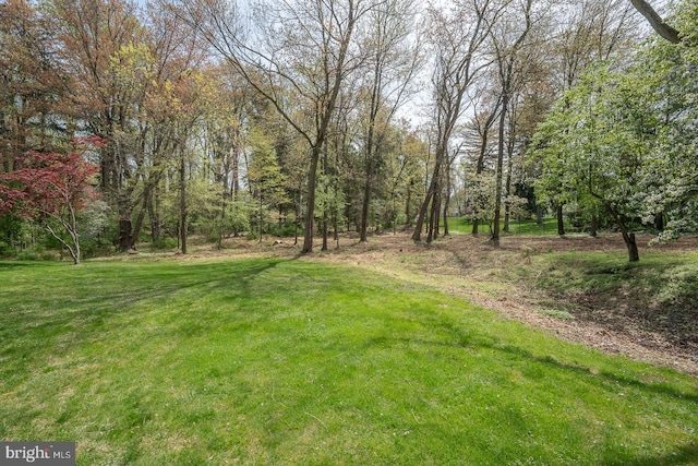 view of yard