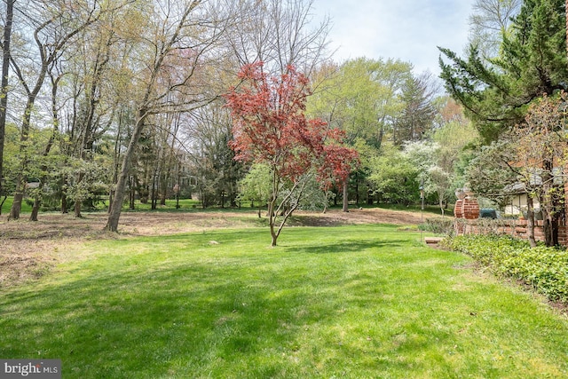 view of yard