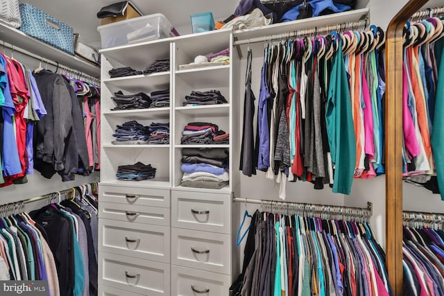 view of spacious closet