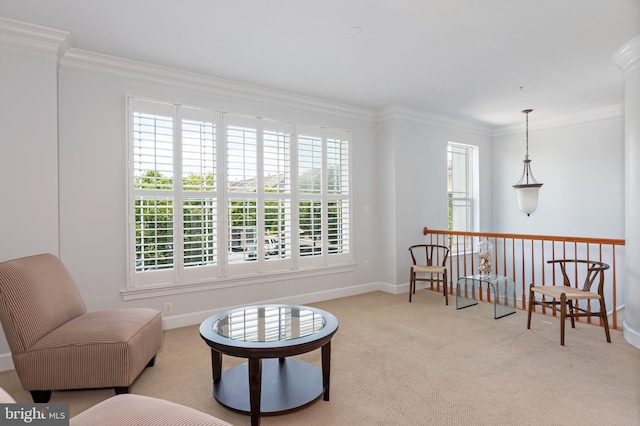 2804 Persimmon Pl Unit D3, Cambridge, MD 21613 - living area with baseboards, ornamental molding, and carpet