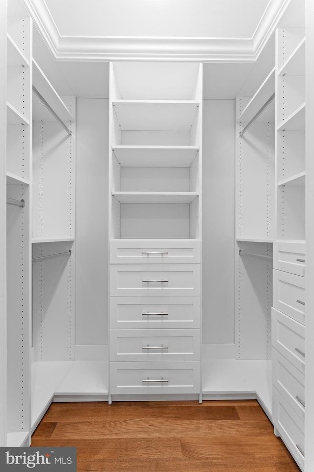 LOT3 Dowlin Forge Rd, Downingtown, PA 19335 - walk in closet with light wood-type flooring