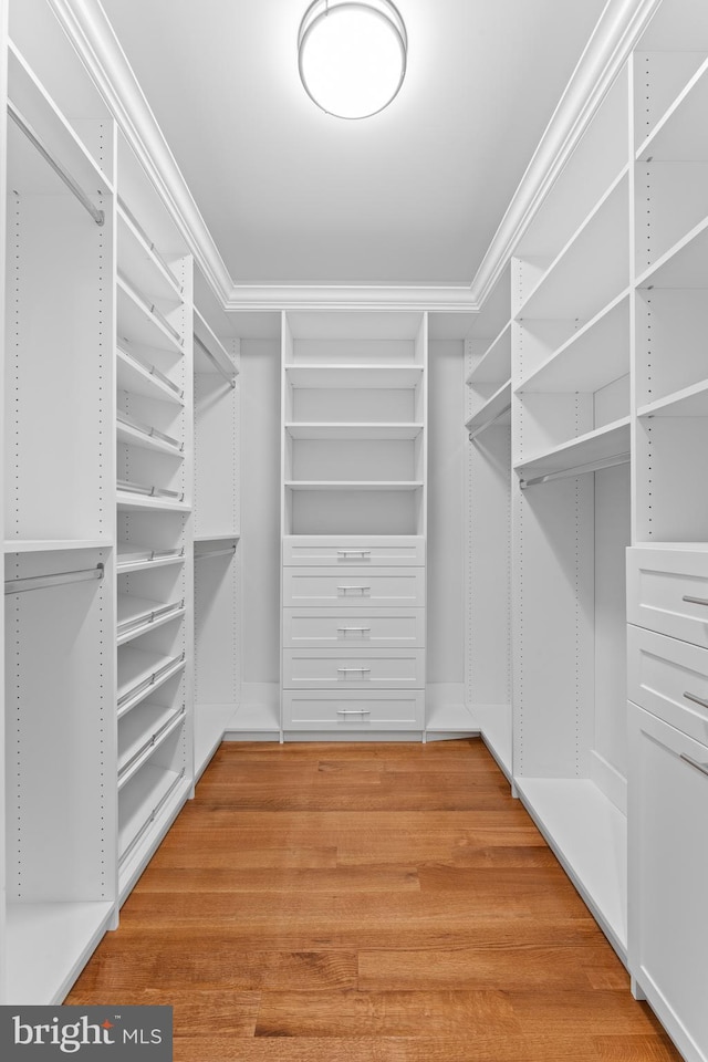 LOT3 Dowlin Forge Rd, Downingtown, PA 19335 - walk in closet featuring light wood-style flooring
