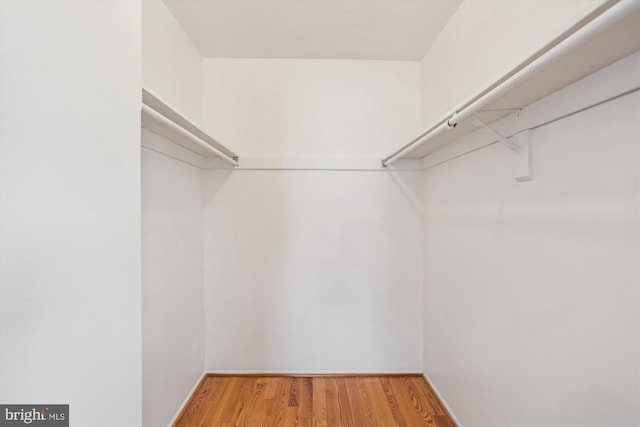 19916 Westerly Ave, Poolesville, MD 20837 - walk in closet with wood finished floors