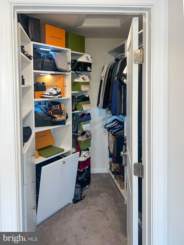 walk in closet featuring carpet floors