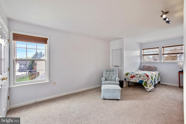 unfurnished bedroom featuring baseboards, carpet floors, and multiple windows