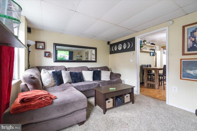 carpeted living room with baseboards and a drop ceiling