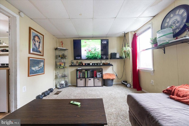 bedroom featuring carpet flooring and a drop ceiling