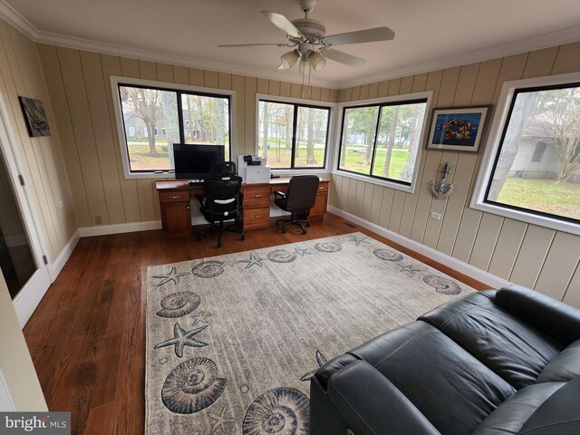 office featuring crown molding, baseboards, ceiling fan, and dark wood-type flooring