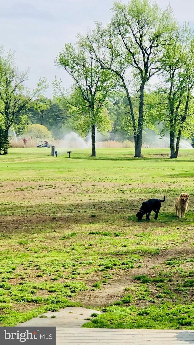 surrounding community featuring a lawn