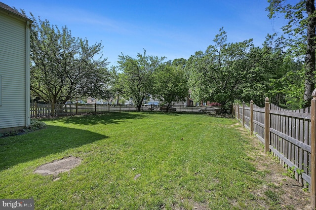 view of yard with a fenced backyard