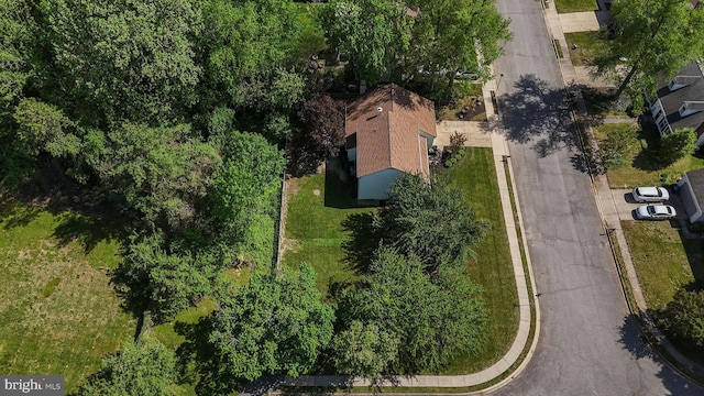 bird's eye view