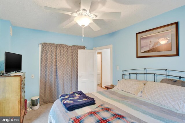 1205 Bridge St, New Cumberland, PA 17070 - bedroom featuring a ceiling fan, carpet, and a textured ceiling