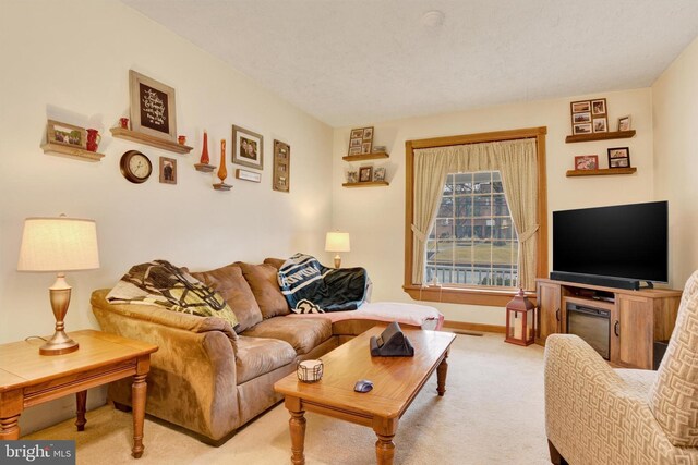 1205 Bridge St, New Cumberland, PA 17070 - living room featuring baseboards and light colored carpet