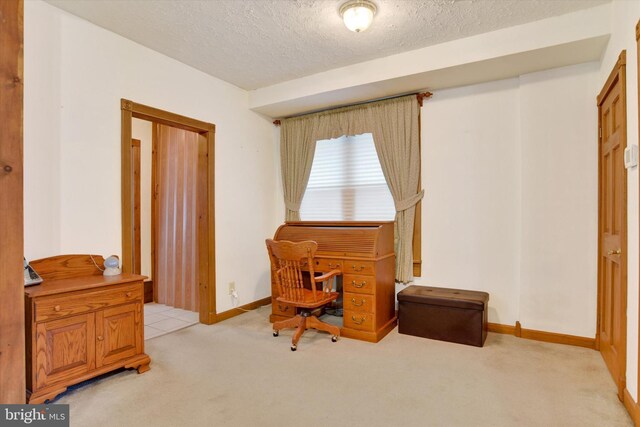 1205 Bridge St, New Cumberland, PA 17070 - office featuring baseboards, a textured ceiling, and light carpet